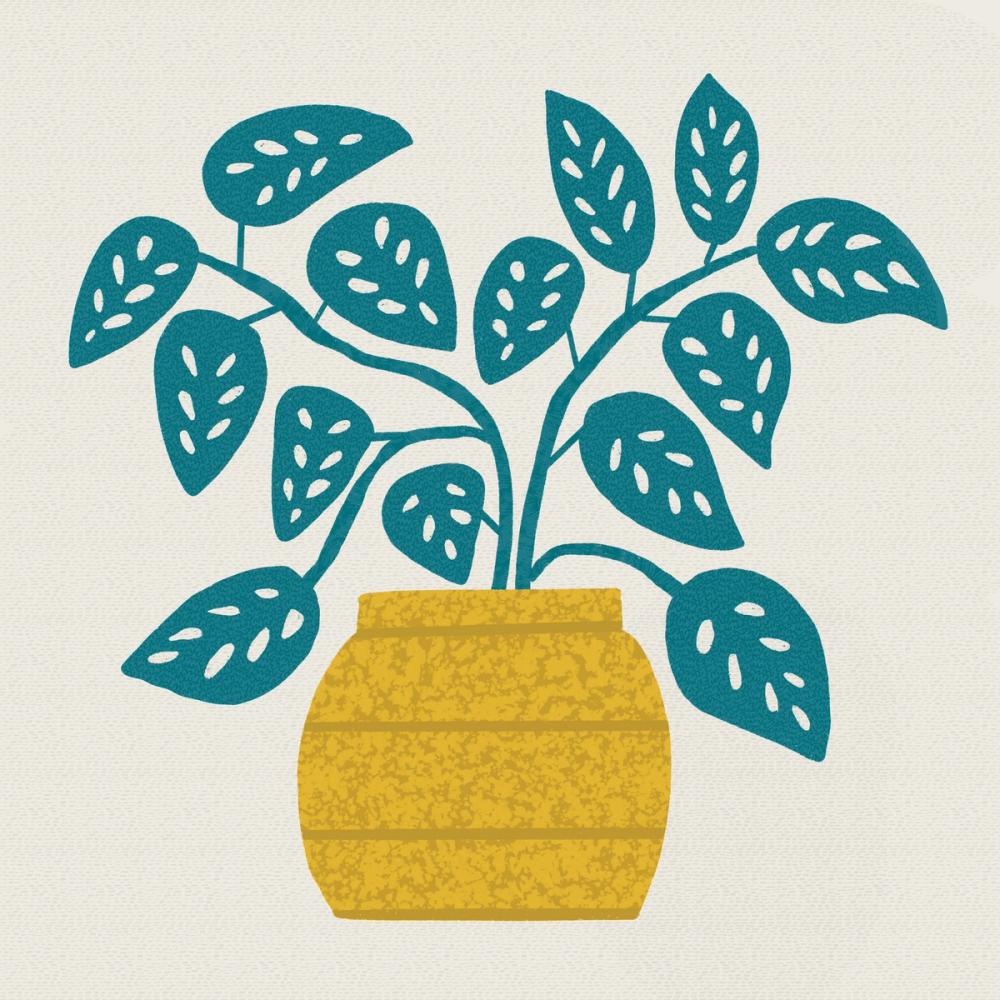Potted Plant IX