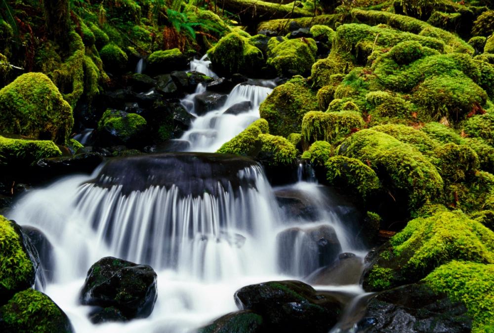 Mossy Rock Waterfall