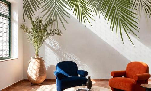 Home Grown Palms