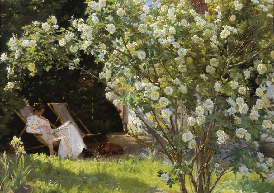 Roses