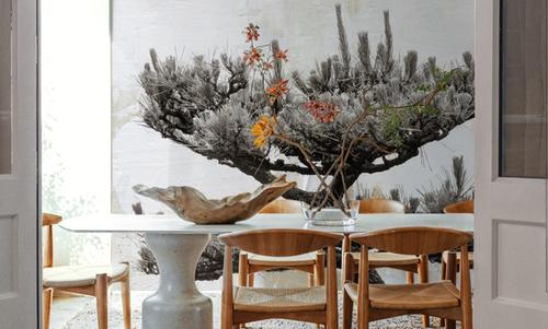 Japanese Tree
