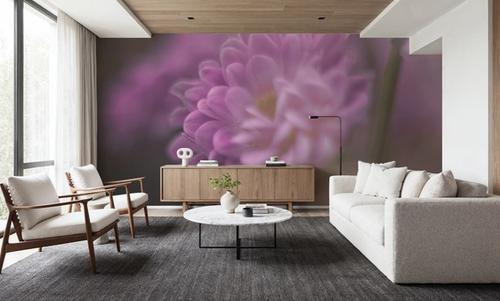 Purple Haze