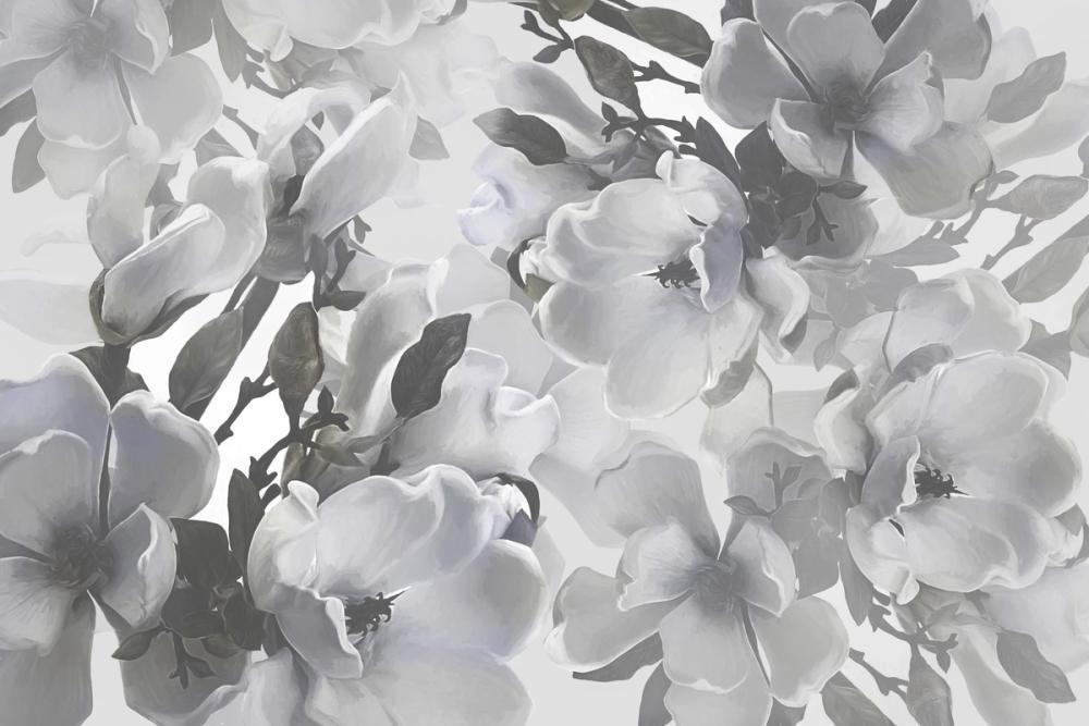 Dreaming of Magnolias Small (No Lines), Blue