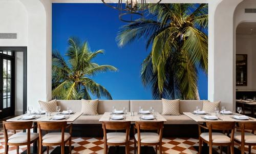 Azure Palms Horizontal