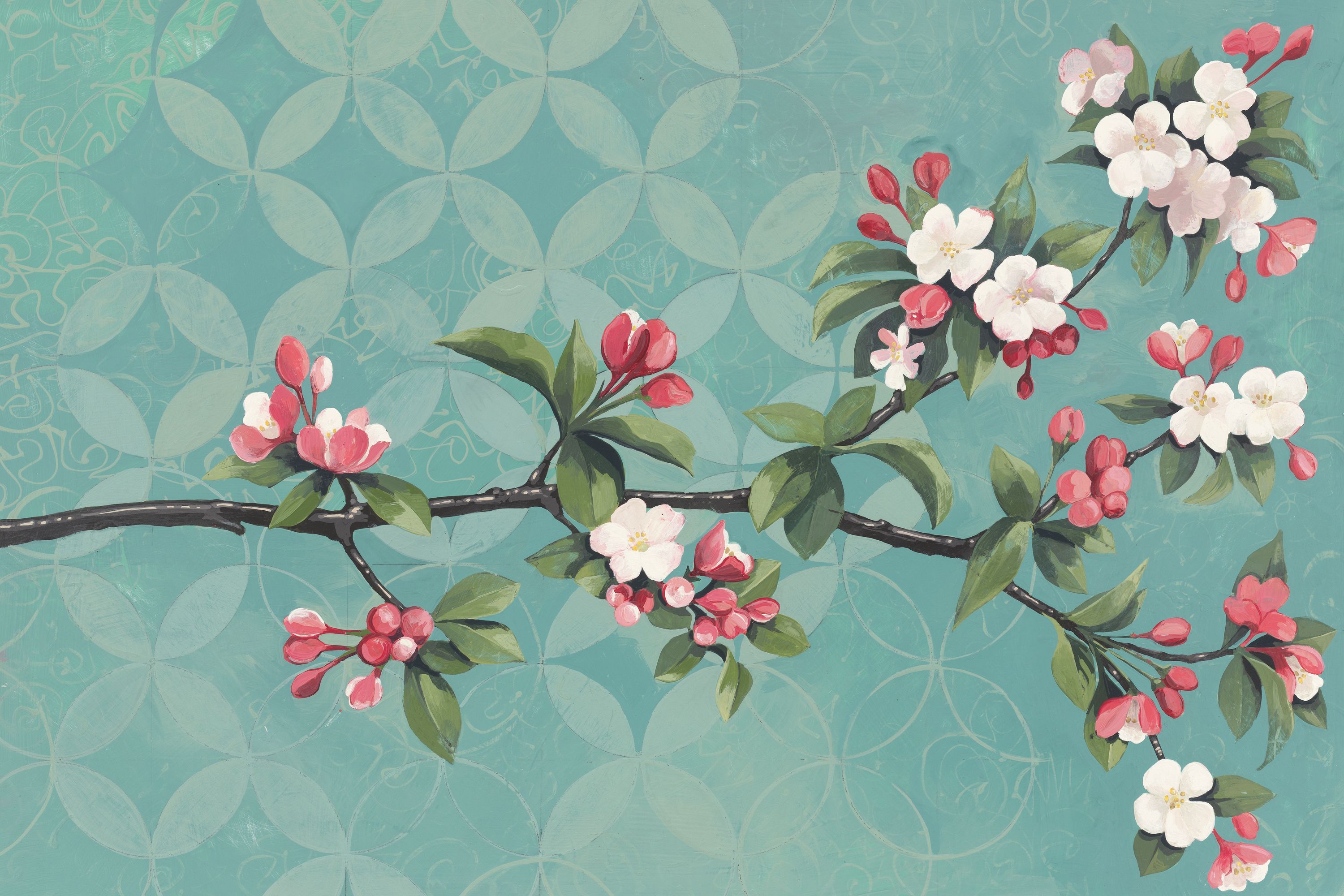 Cherry Blossoms