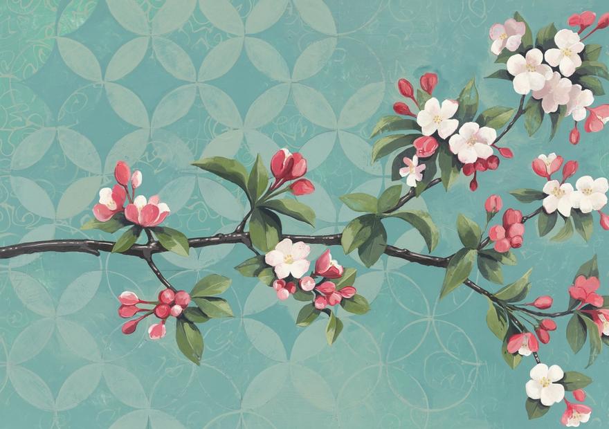 Cherry Blossoms