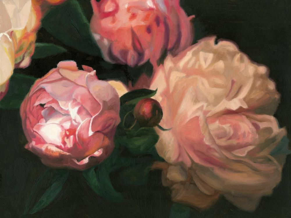 Peonies in Bloom