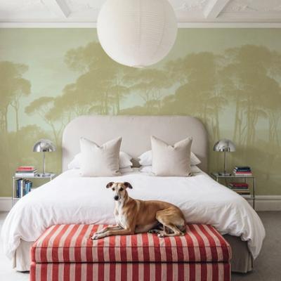 Mediterranean Pine Landscape, Greenish Beige