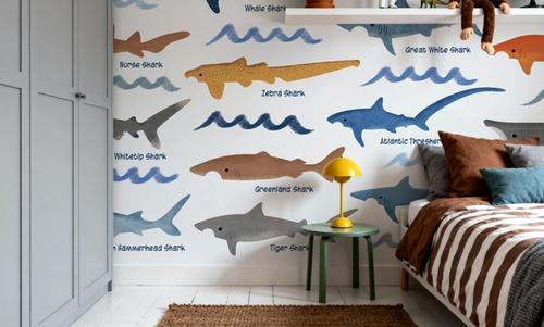 Sharks of the World Chart