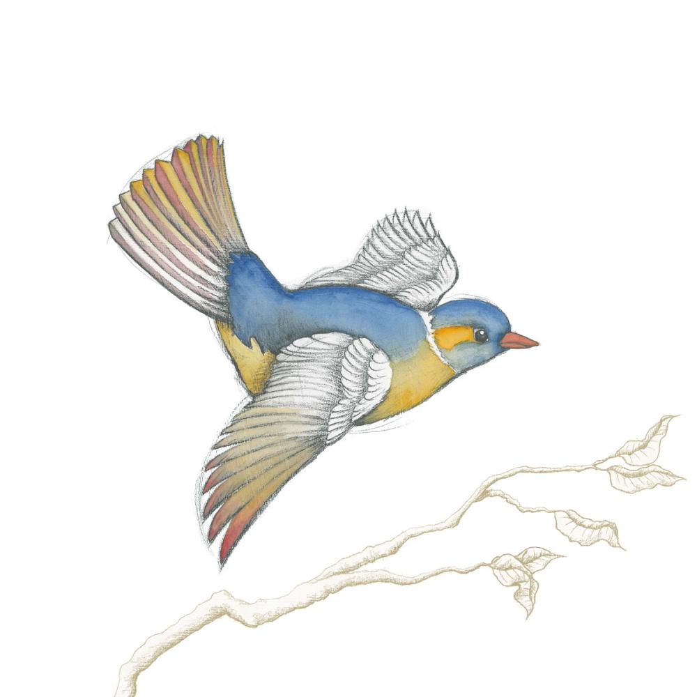 Arts and Crafts Birds III on White