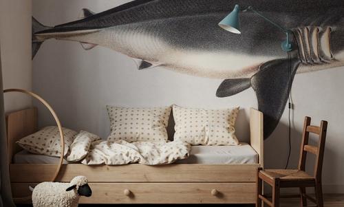 Porbeagle