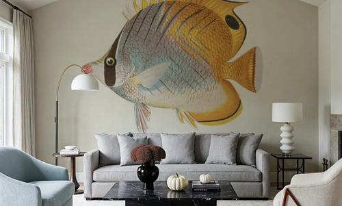 Chaetodon