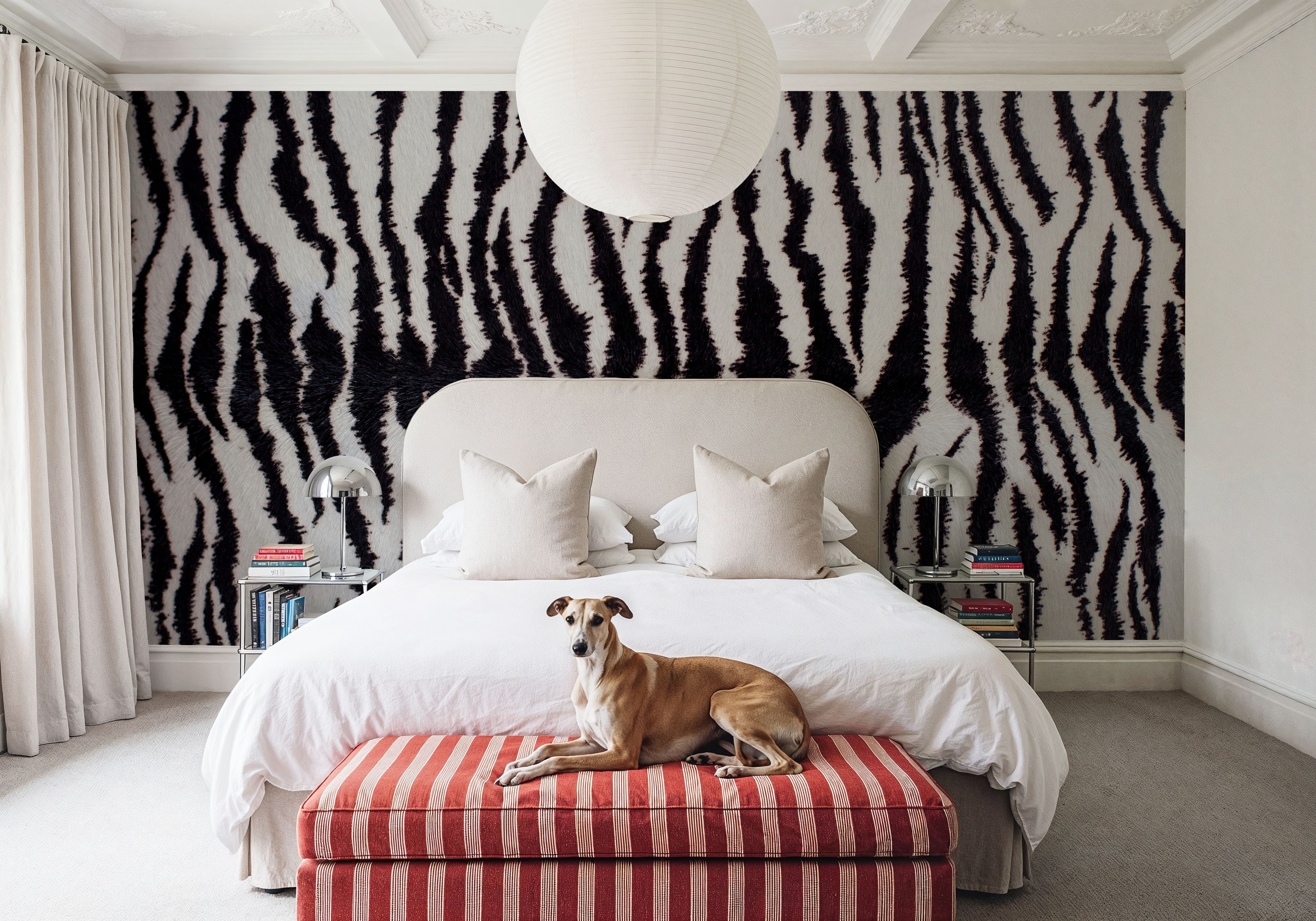 Zebra Stripes, Papier peint