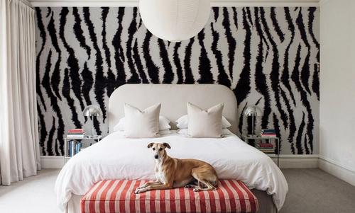 Zebra Stripes