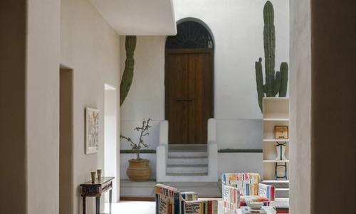 Cactus Sentinels