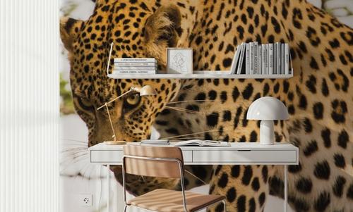 Leopard After Lunch