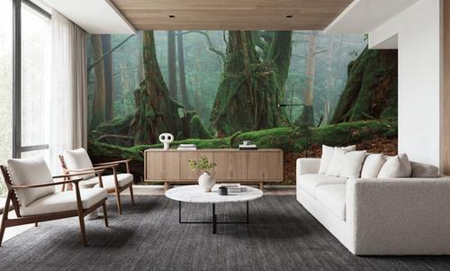Yaku Rain Forest