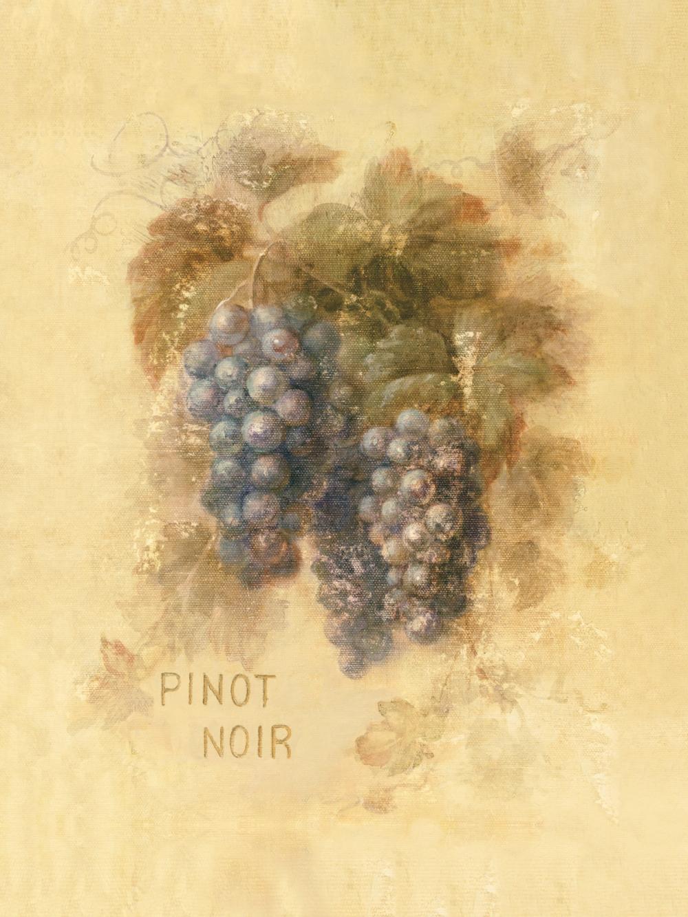 Pinot Noir