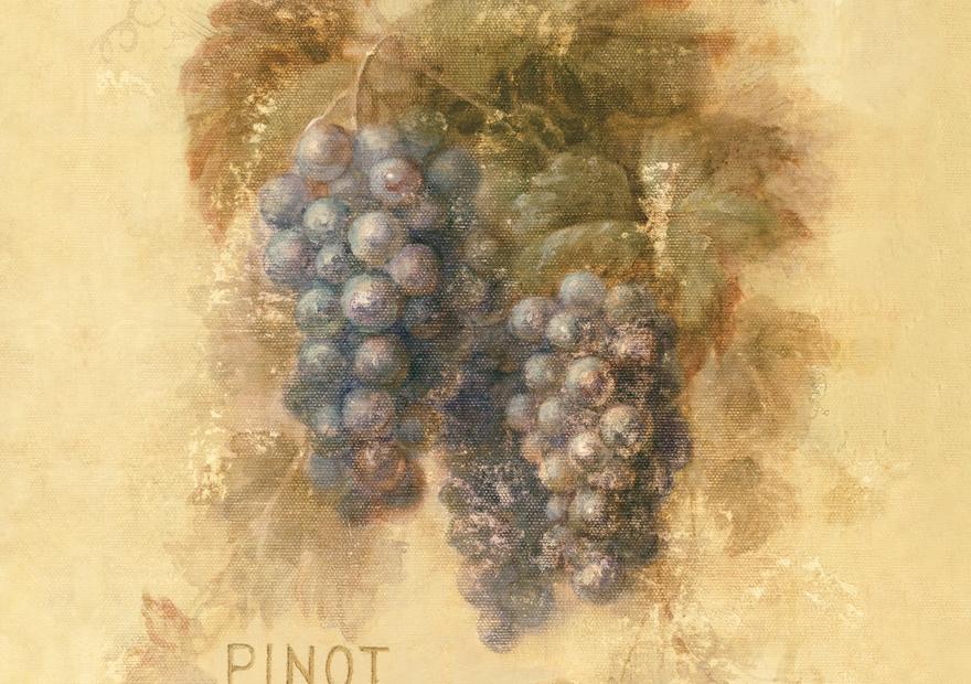 Pinot Noir