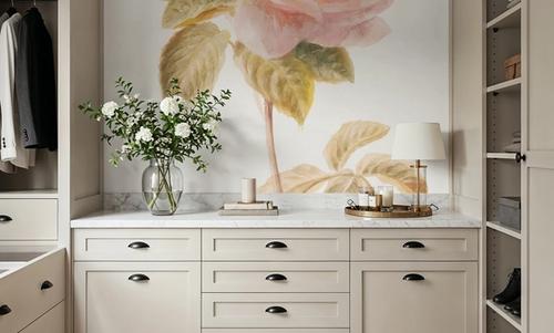 Garden Rose on White