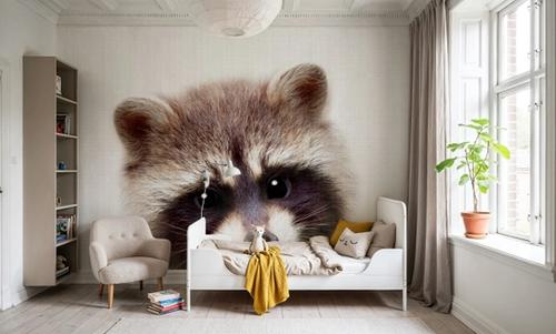 Peekaboo Raccoon