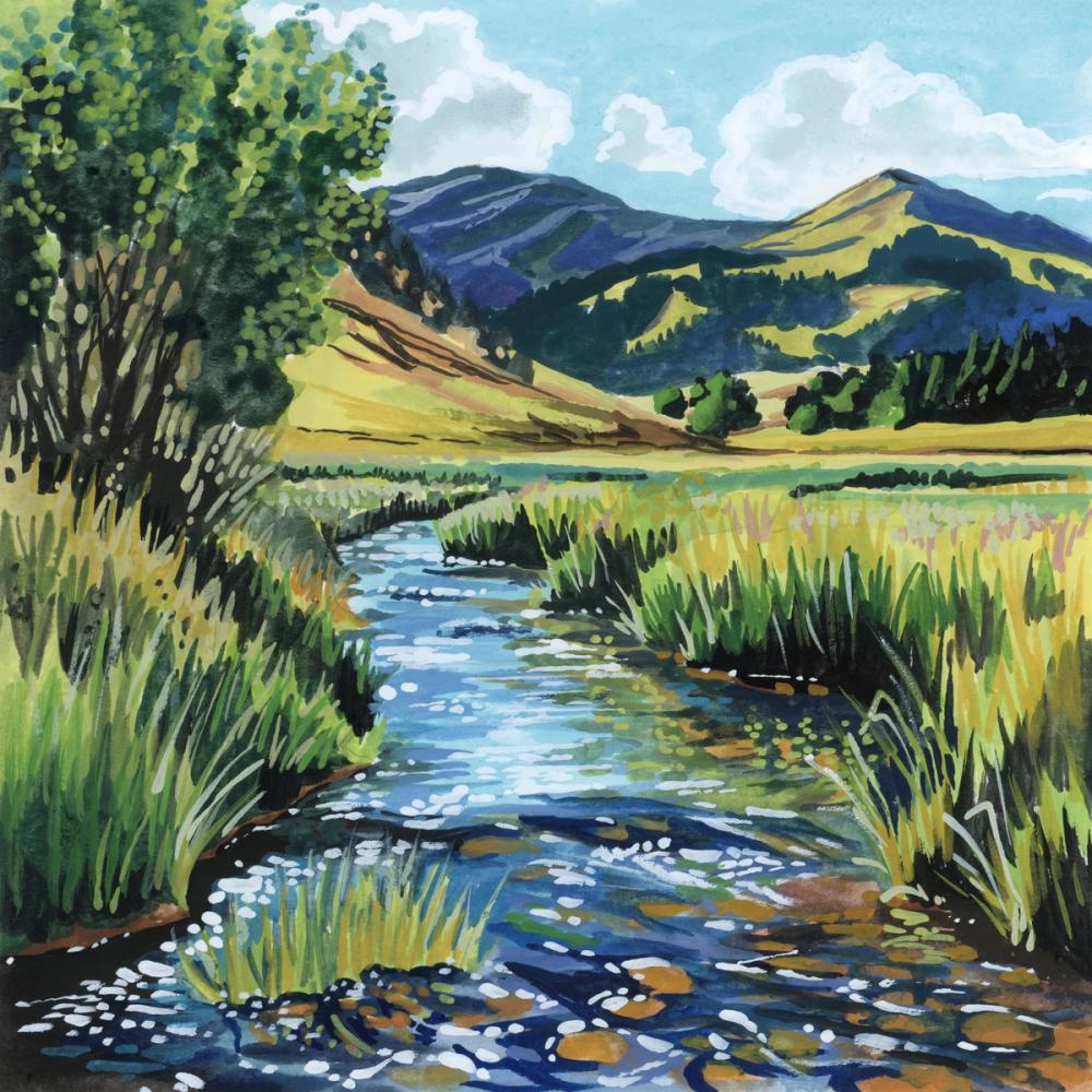 Open Mountain Stream