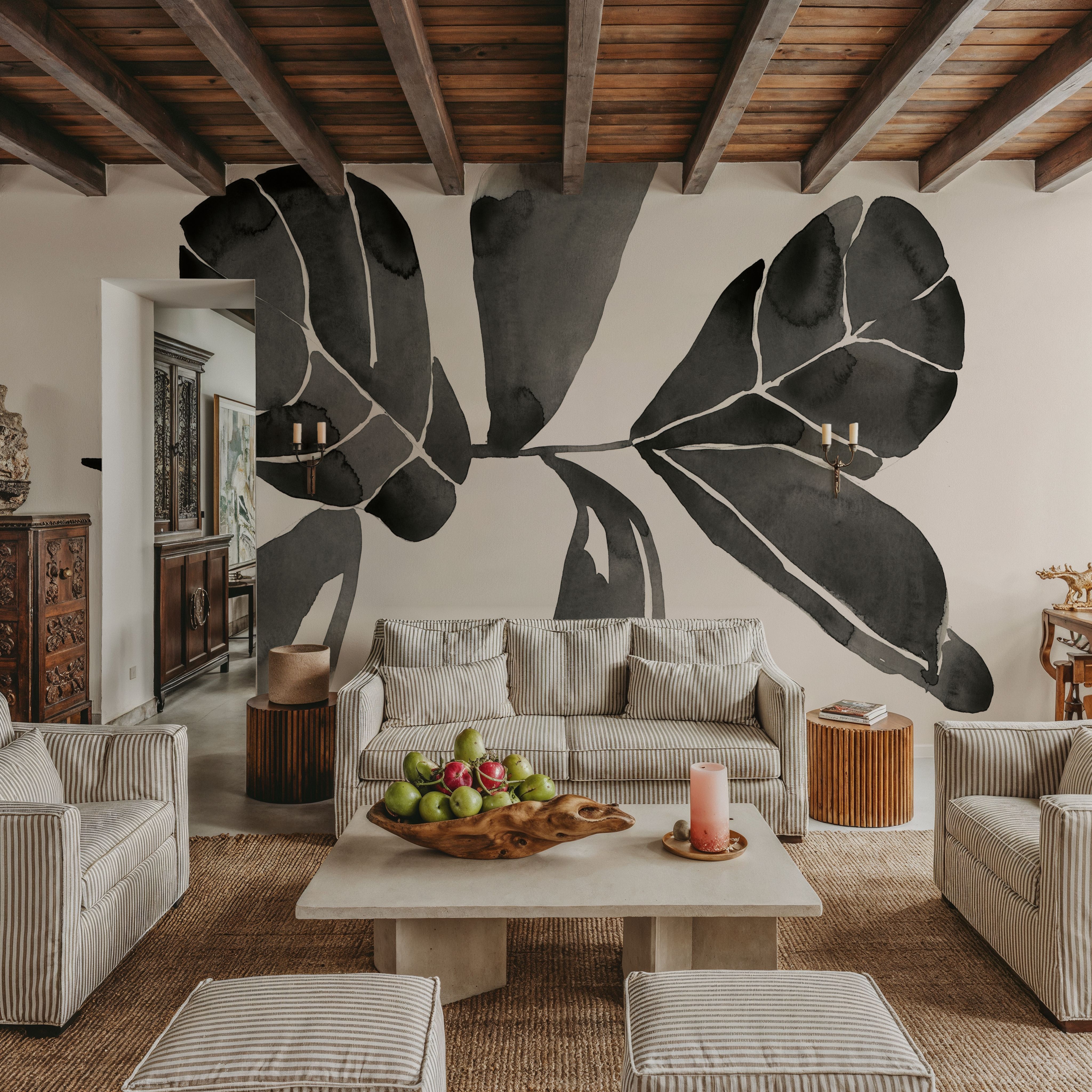 Fiddle Leaf III Cream
