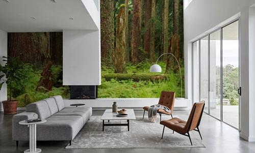 Forest Floor