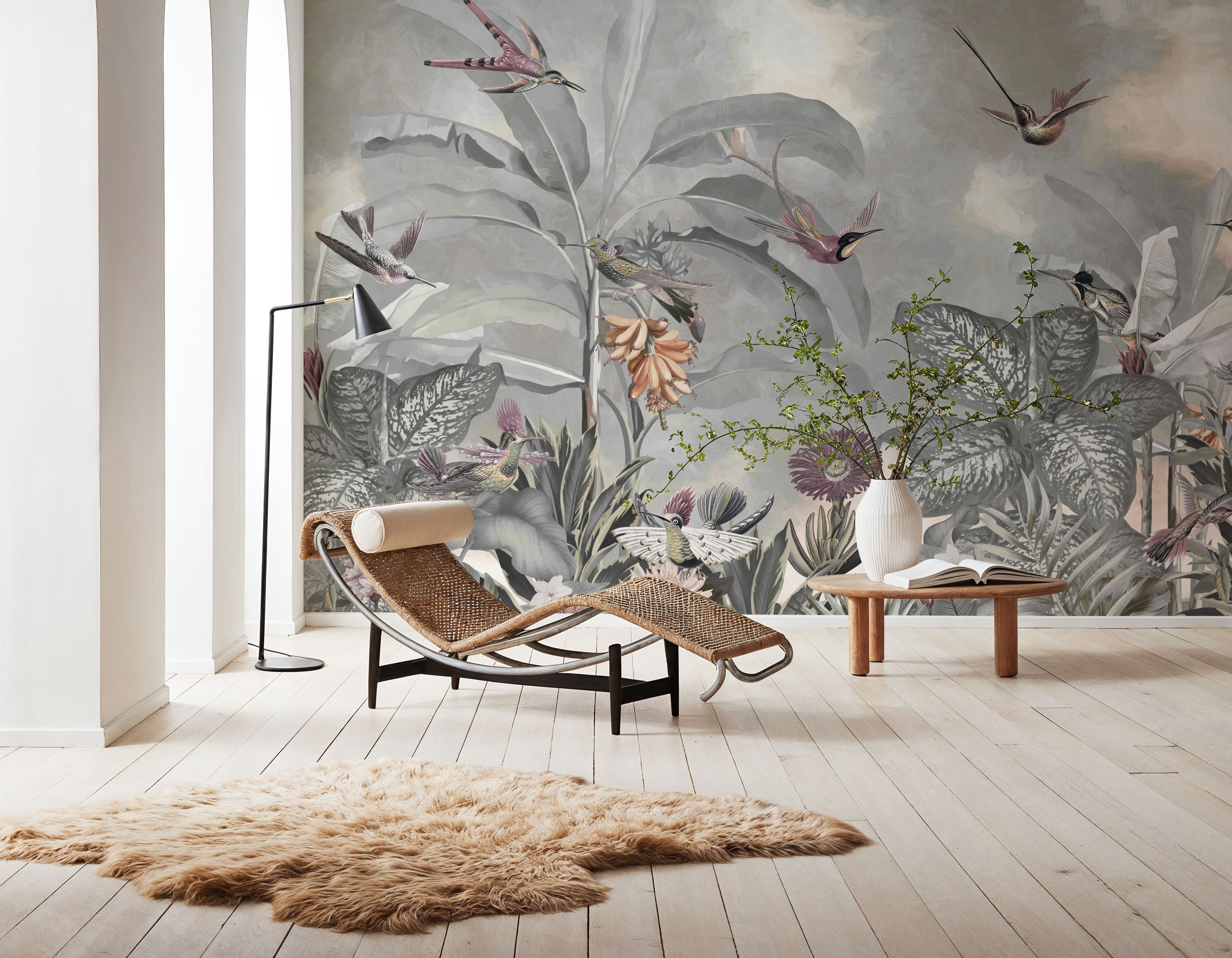 Birds of Paradise