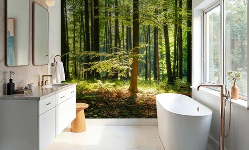 Deep Sunny Woods
