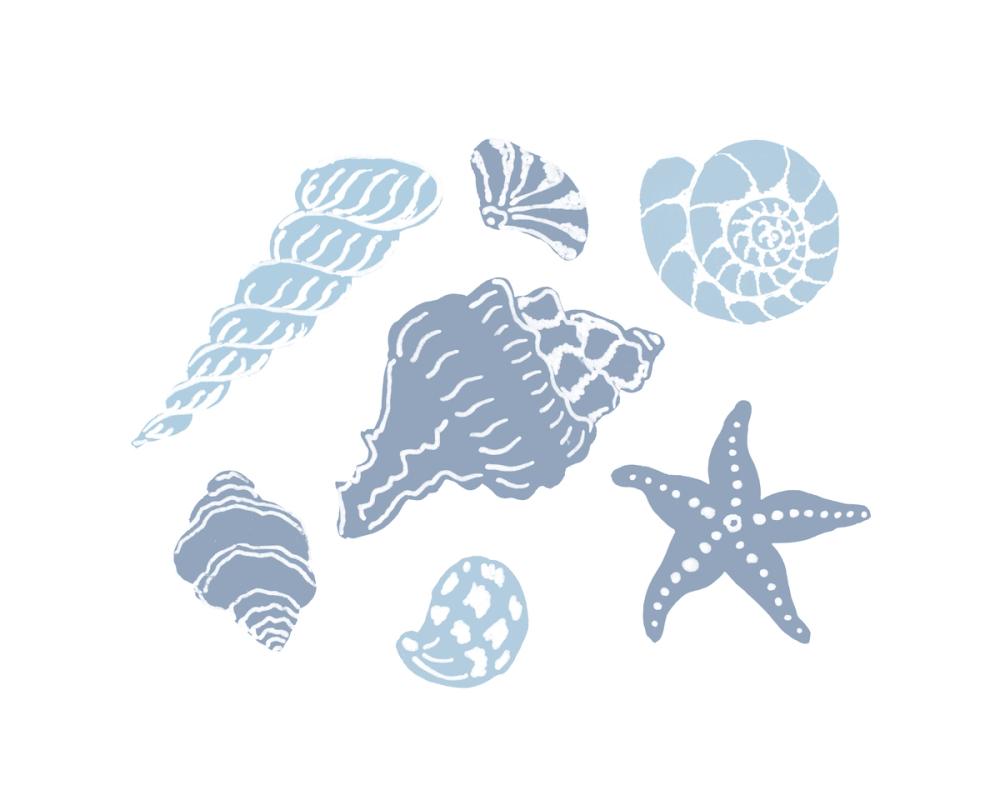 Shells on the Shore I