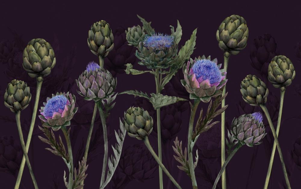 Artichoke Blooms, Midnight