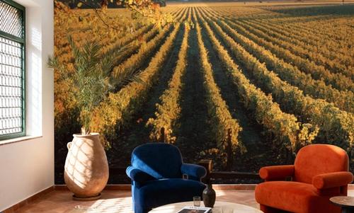 Far Niente Winery Beams