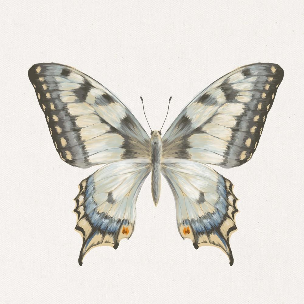 Beetles and Butterflies I Neutral