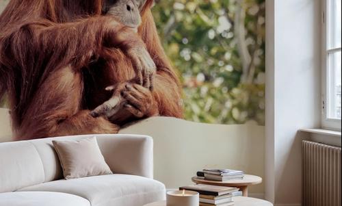 Orangulives