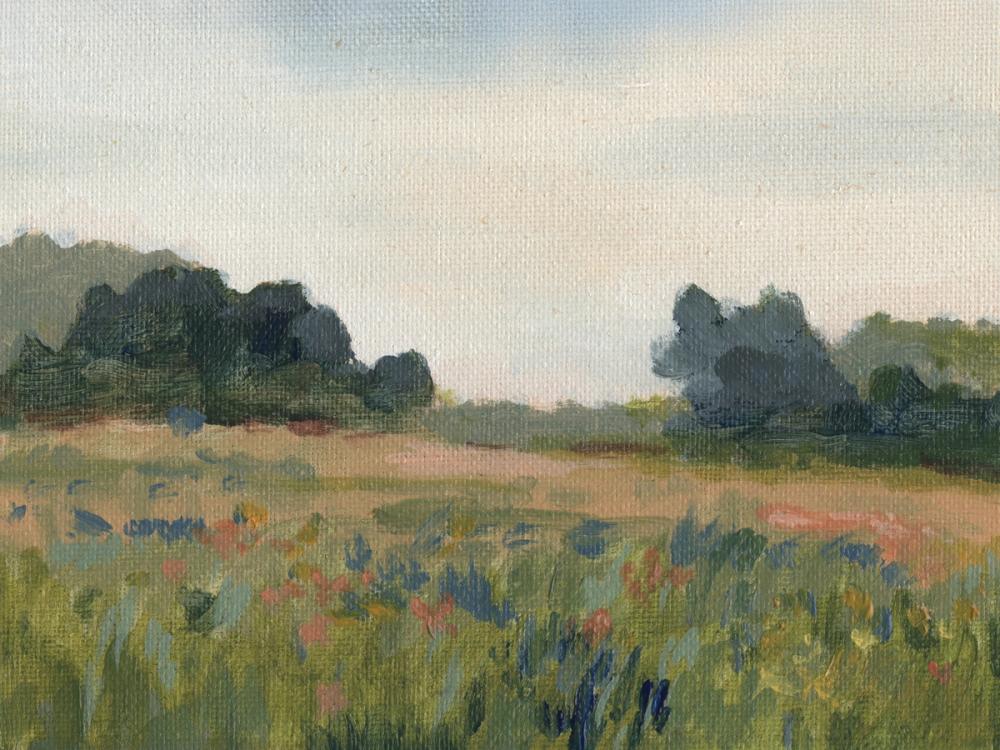 Blue Meadow