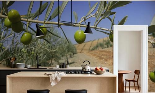 Olive Field