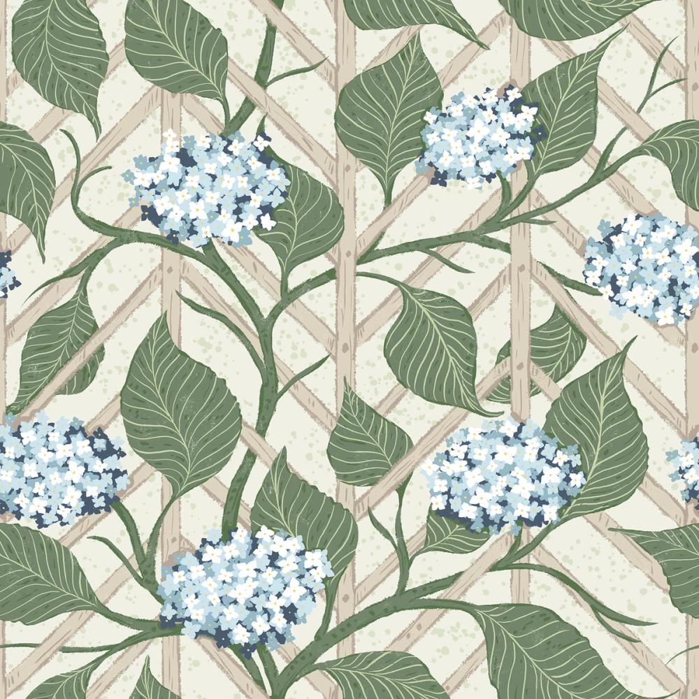 Hydrangea Trellis, Sky