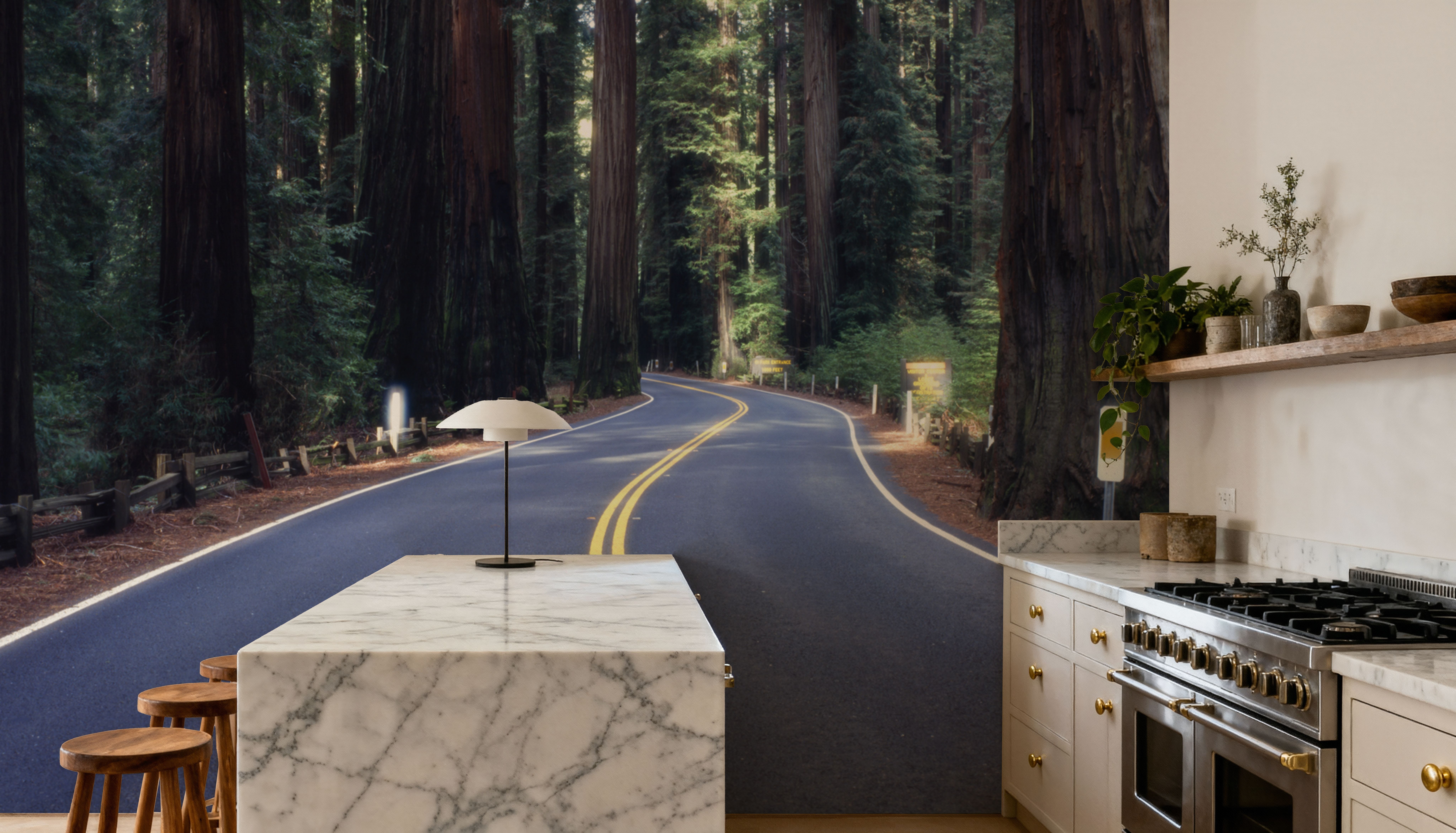 Redwood Journey