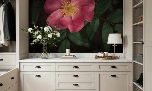 Wild Rose I