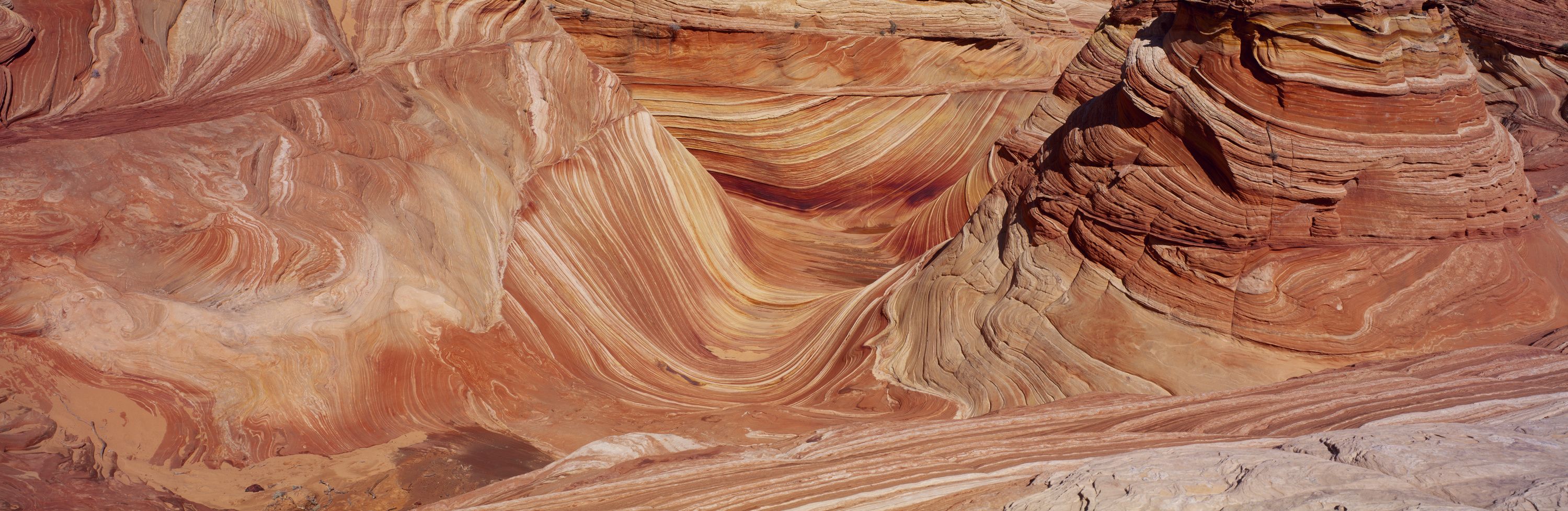 The Wave Study