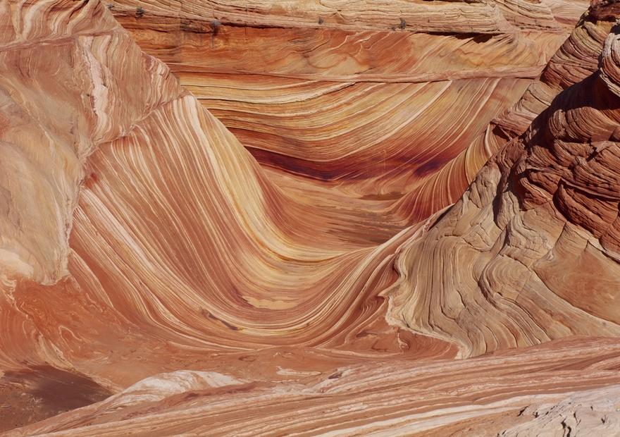 The Wave Study