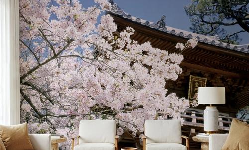 Kyoto Blossom