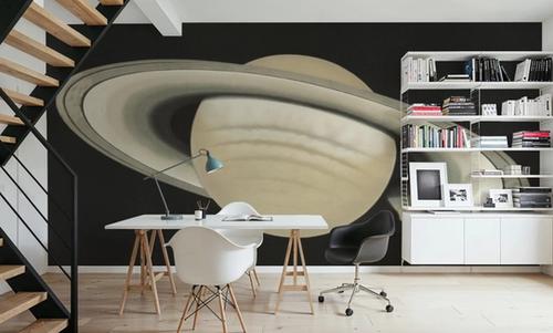 The Planet Saturn