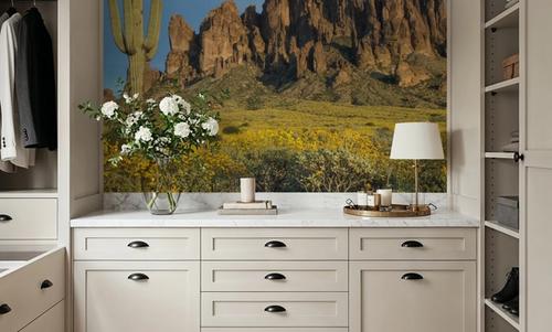 Superstition Mountains