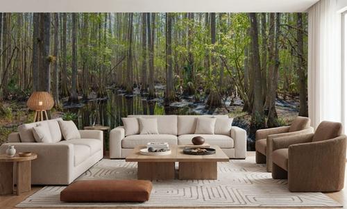 Highlands Hammock State Park