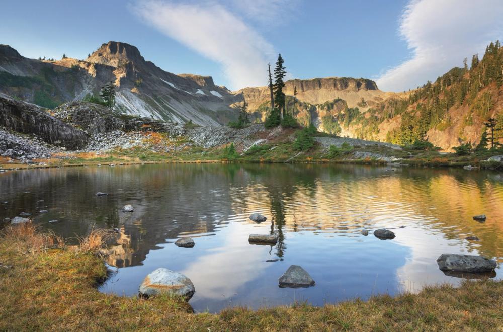 Heather Meadow