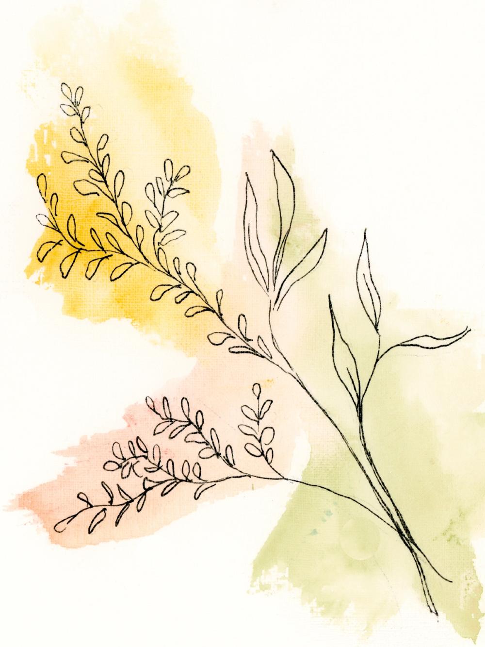Illustrative Botanical II