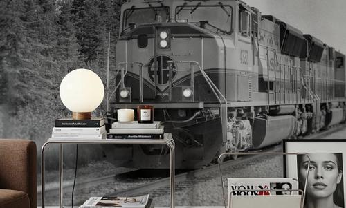 Alaskan Train
