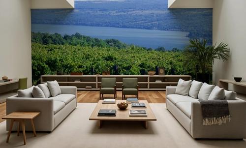 Vineyard Vista